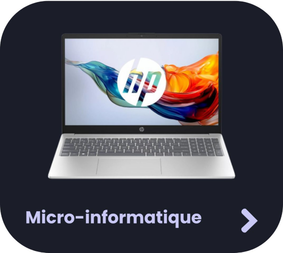 Micro-informatique