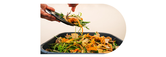 jeter les déchets organiques dans un composteur