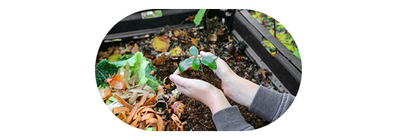 composteur de jardin