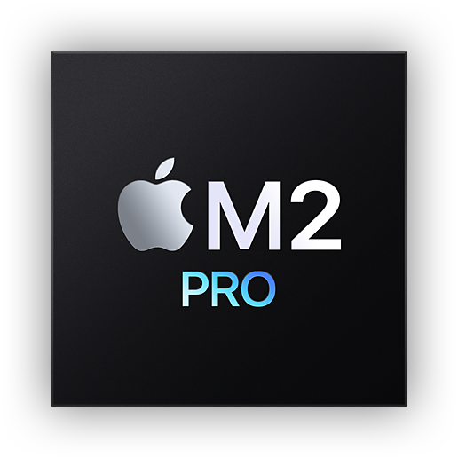 Puce Apple M2 Pro