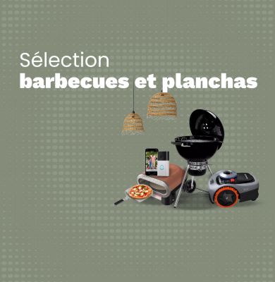 Sélection barbecue et plancha