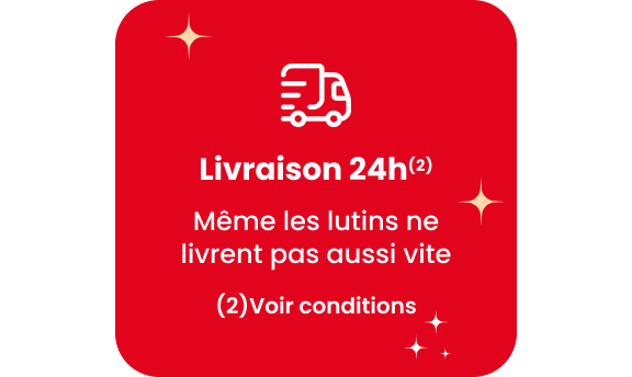 Livraison 24h Même les lutins ne livrent pas aussi vite