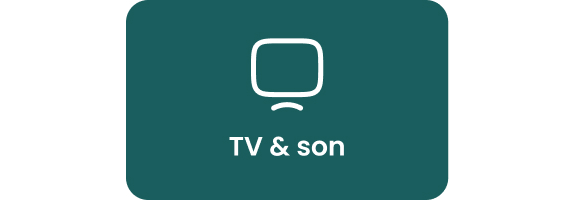 TV & son