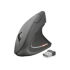Souris Trust
