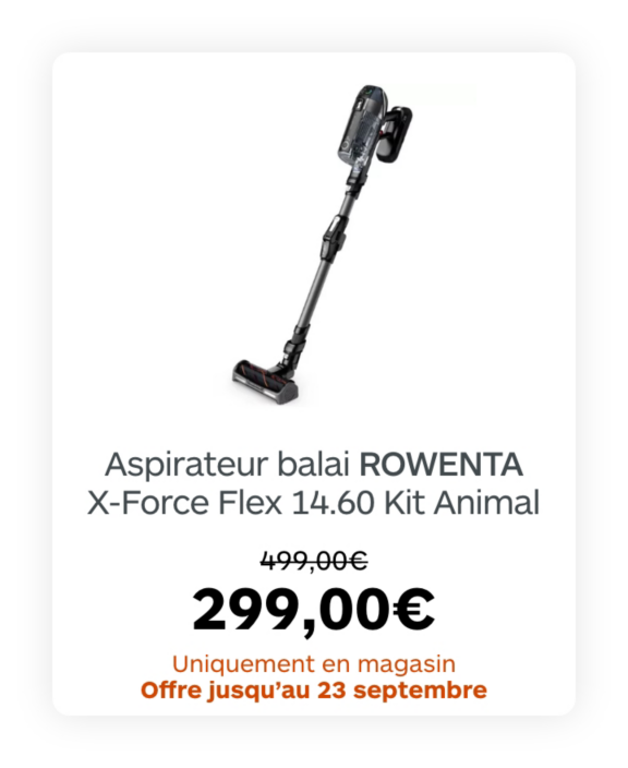 Aspirateur balai ROWENTA